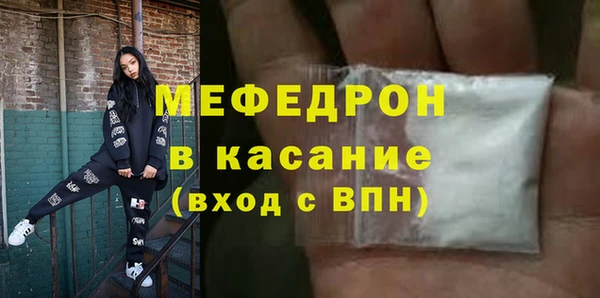 индика Арсеньев