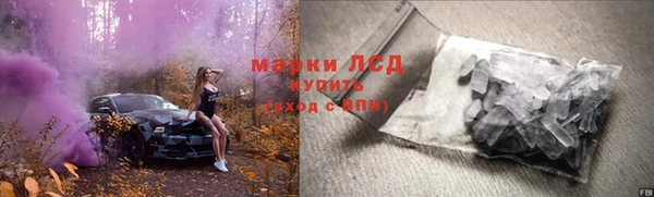 крисы Аркадак