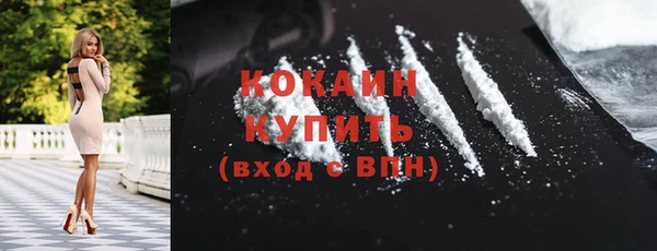 крисы Аркадак