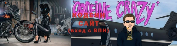 индика Арсеньев