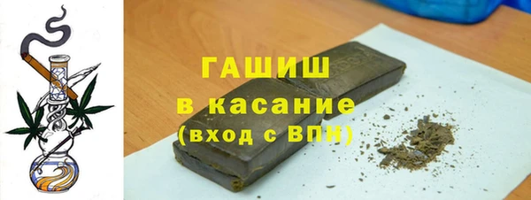 индика Арсеньев