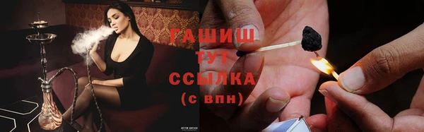 крисы Аркадак