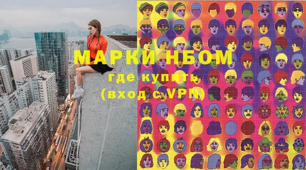 индика Арсеньев