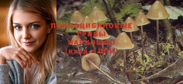 тгк Армянск