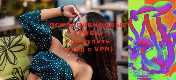 крисы Аркадак