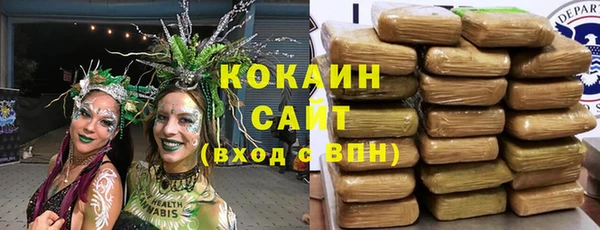крисы Аркадак