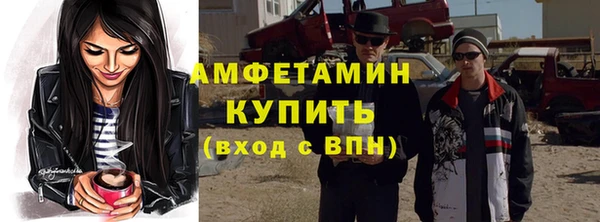 индика Арсеньев