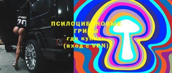 индика Арсеньев