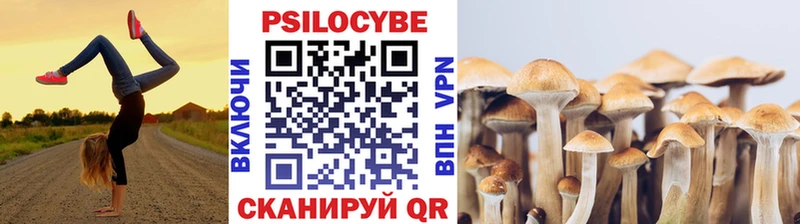 купить наркотики сайты Струнино Галлюциногенные грибы прущие грибы